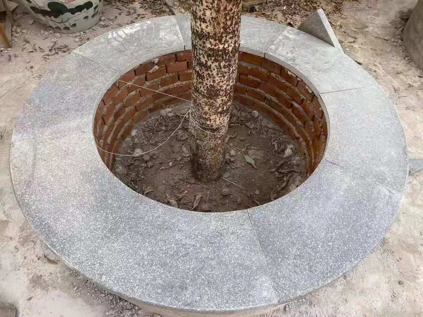 章丘黑树池石